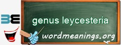 WordMeaning blackboard for genus leycesteria